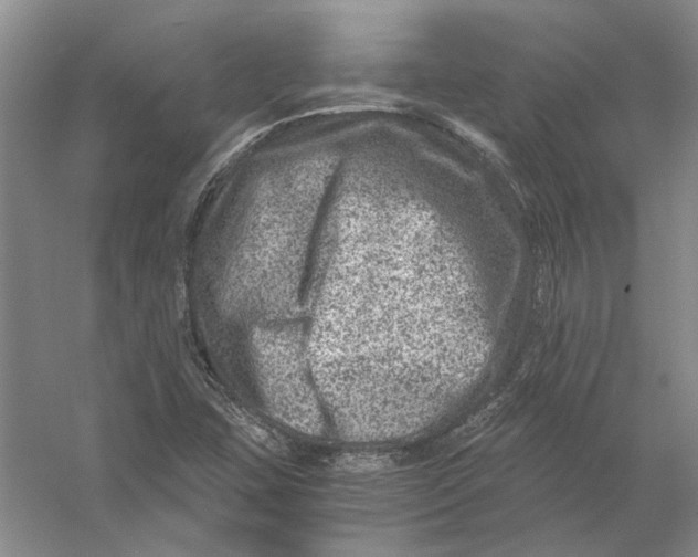 X0000056381407200509232212