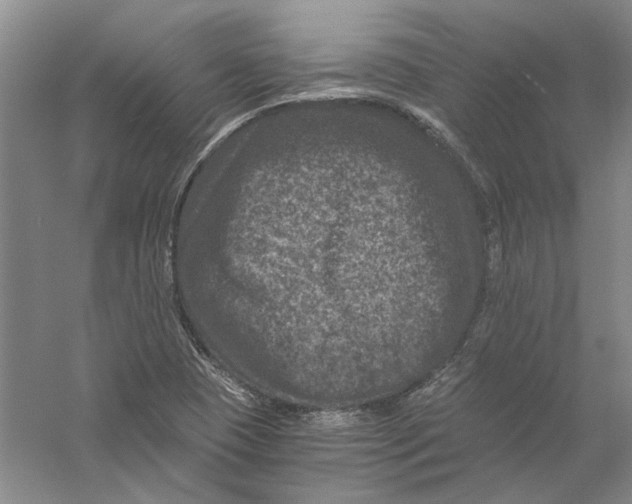 X0000056381409200509232212