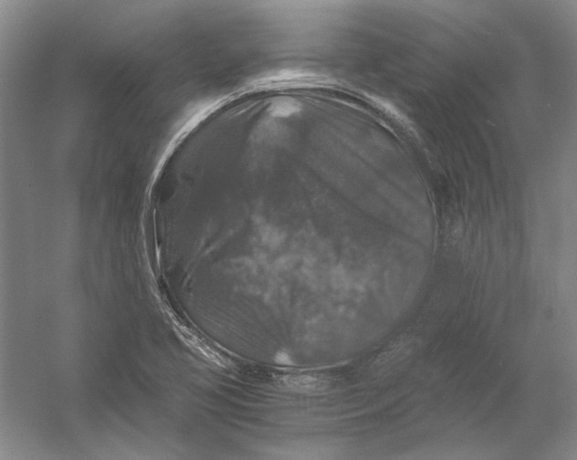 X0000056381413200509232212