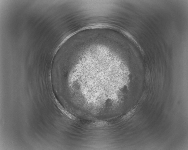 X0000056381417200509232213