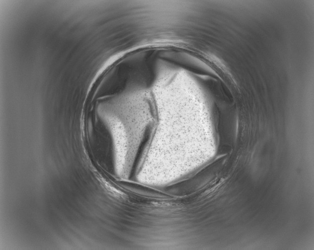 X0000056381420200509232213