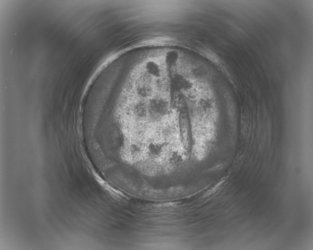 X0000056381421200509232213