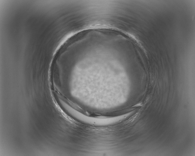 X0000056381422200509232213