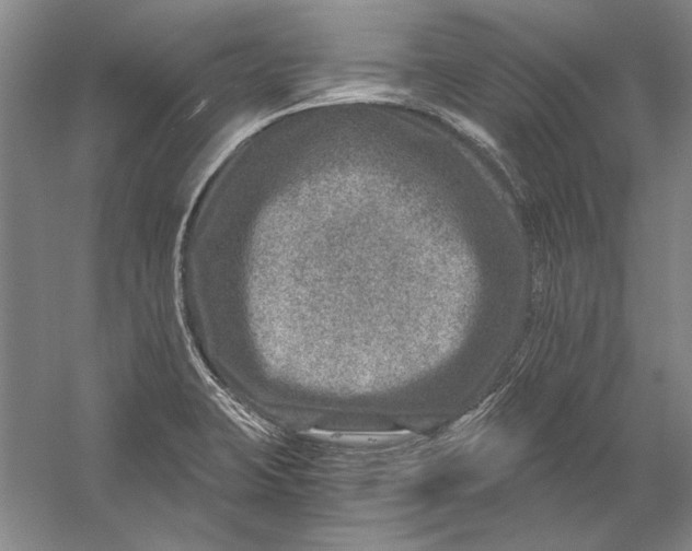 X0000056381423200509232213