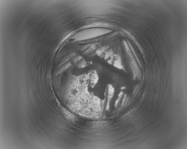 X0000056381425200509232213