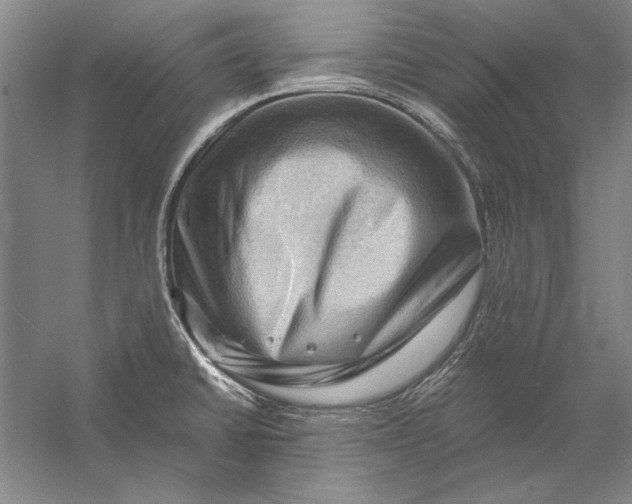 X0000056381430200509232213