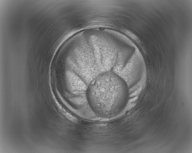 X0000056381431200509232213