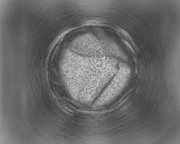 X0000056381435200509232213