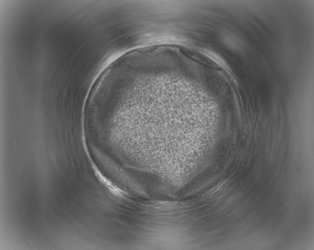 X0000056381439200509232213