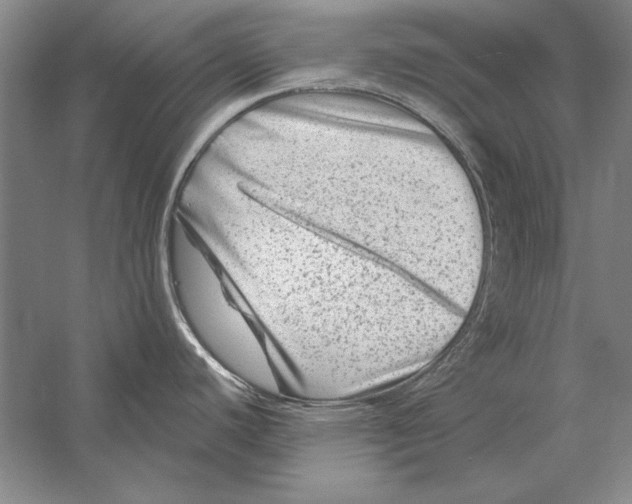 X0000056381440200509232213