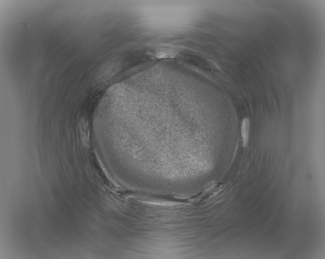 X0000056381443200509232212