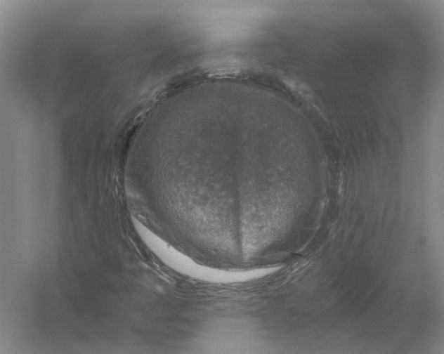 X0000056381445200509232212