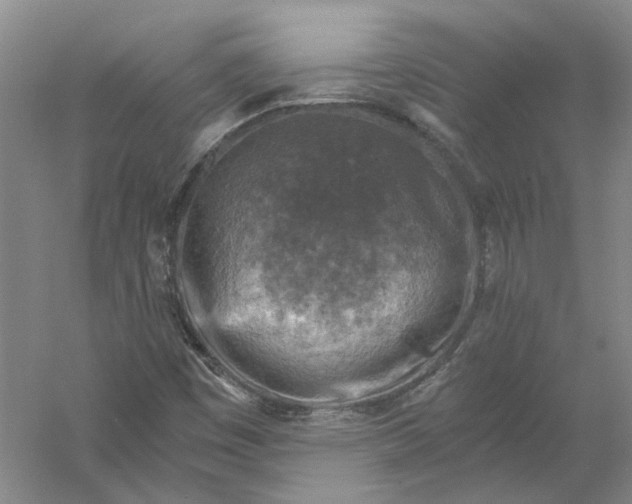 X0000056381449200509232212