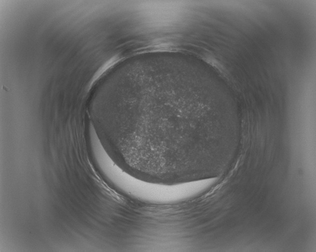 X0000056381450200509232212