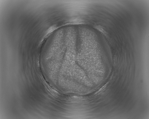 X0000056381451200509232212