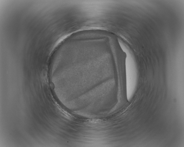 X0000056381452200509232212