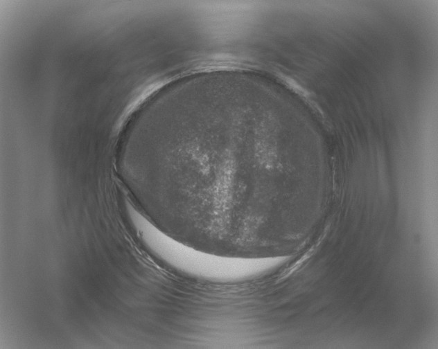 X0000056381453200509232212