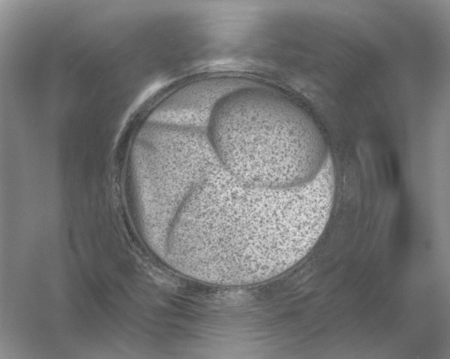 X0000056381454200509232212