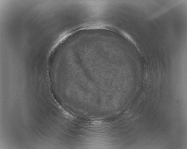 X0000056381456200509232212