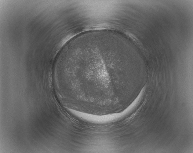 X0000056381457200509232212