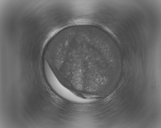 X0000056381461200509232212