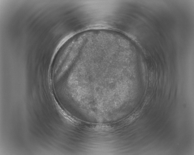 X0000056381466200509232212