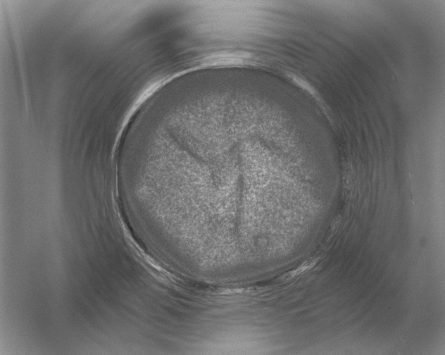 X0000056381467200509232212