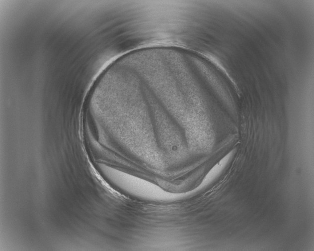 X0000056381468200509232212