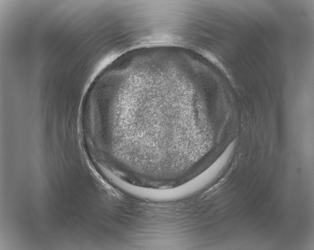 X0000056381469200509232212