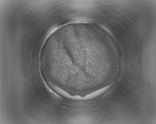 X0000056381471200509232212