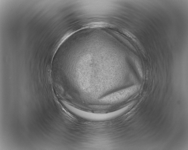 X0000056381473200509232212