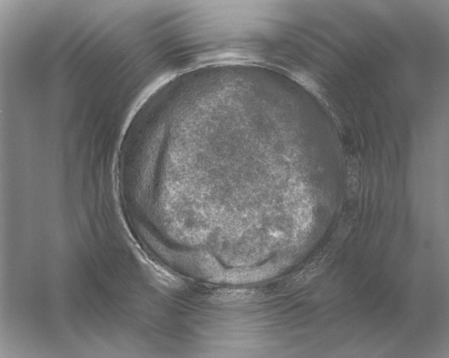 X0000056381474200509232212