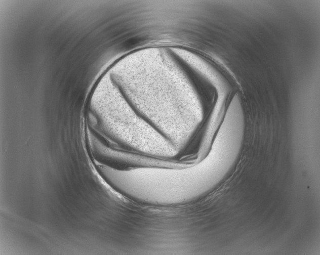 X0000056381476200509232212