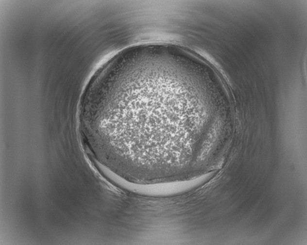 X0000056381477200509232212