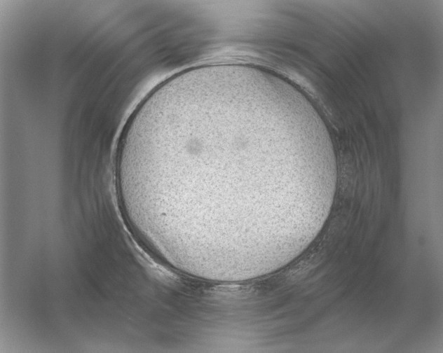 X0000056381478200509232212