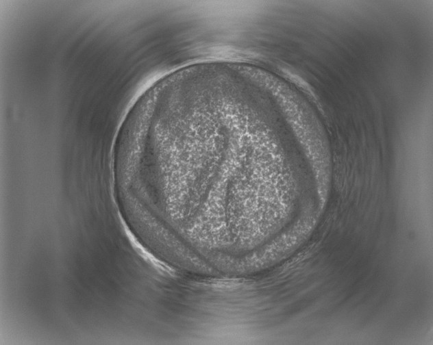 X0000056381479200509232211