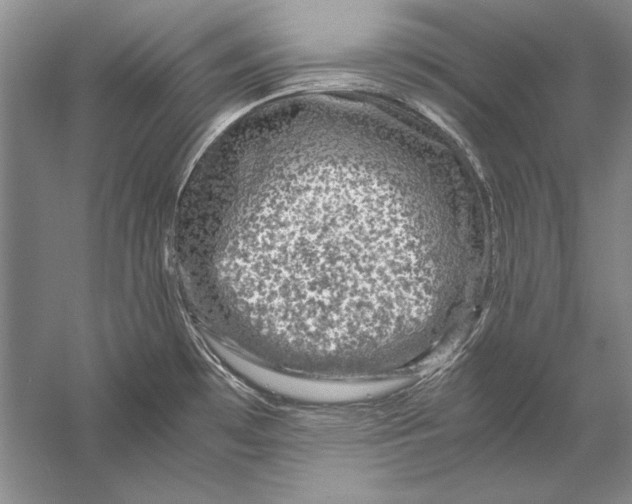 X0000056381481200509232211