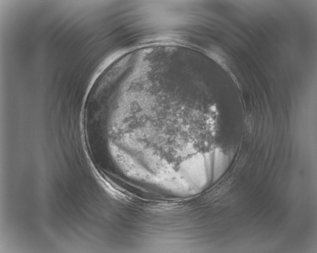 X0000056381482200509232211