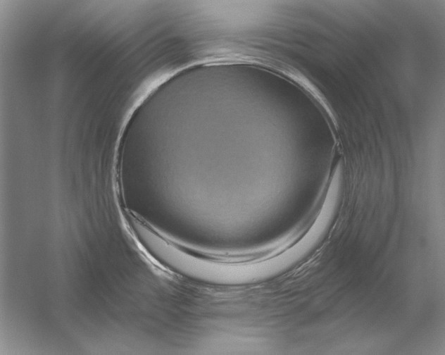 X0000056381485200509232211