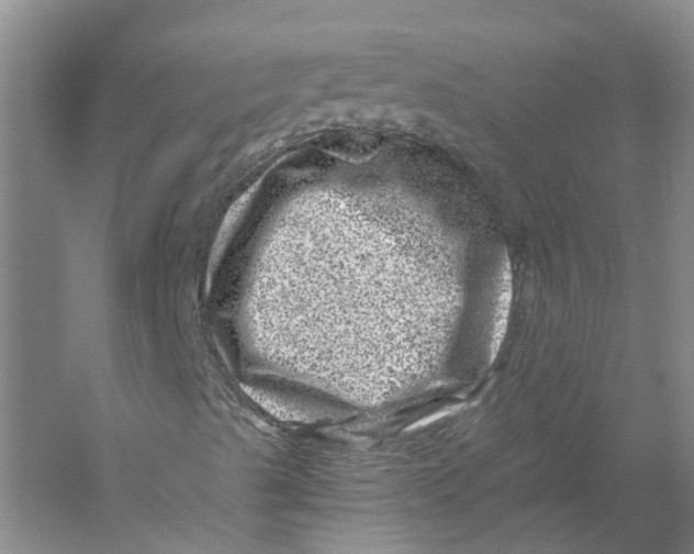 X0000056381489200509232211