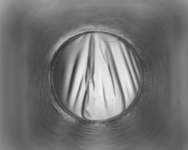 X0000056381503200509232211