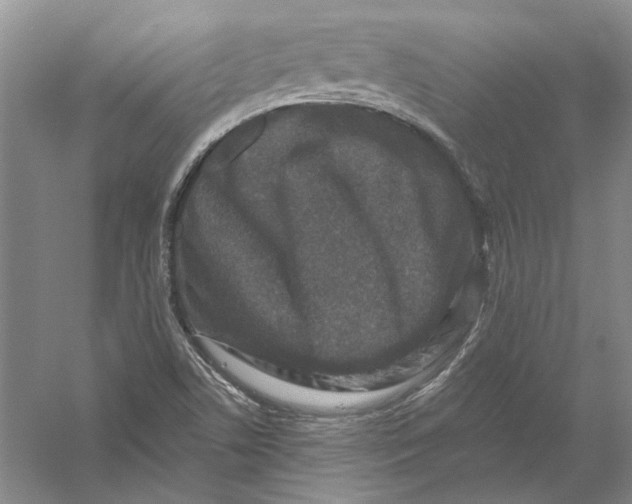 X0000056381506200509232211