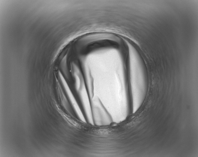 X0000056381507200509232211