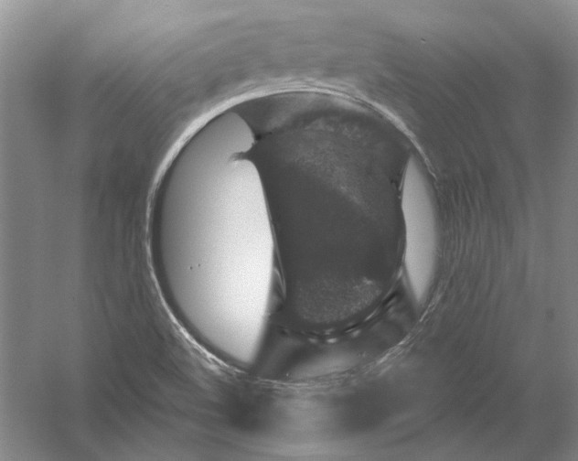 X0000056381508200509232211