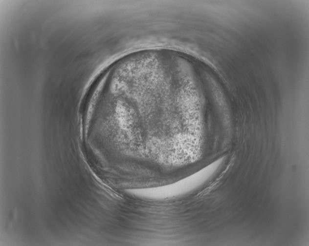 X0000056381509200509232211