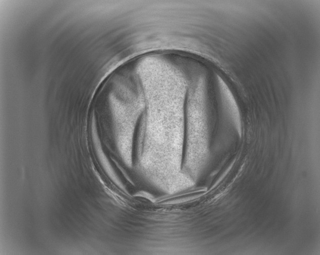 X0000056381513200509232211