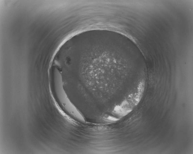 X0000056381515200509232211