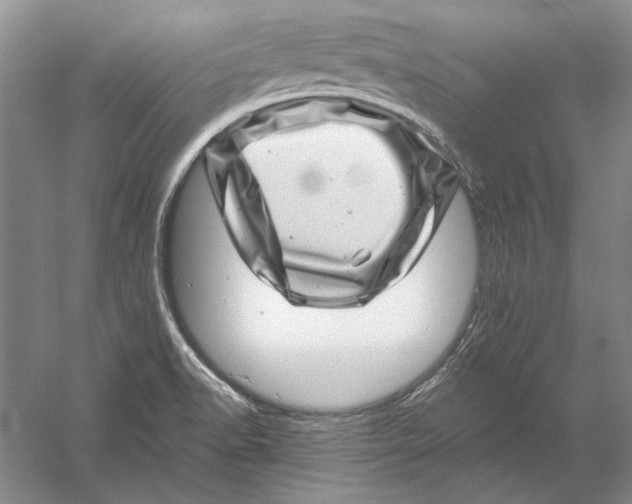 X0000056381518200509232211