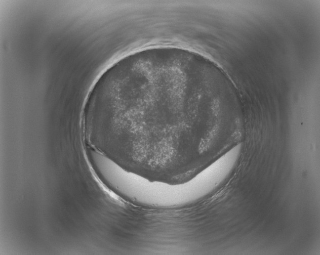 X0000056381519200509232211