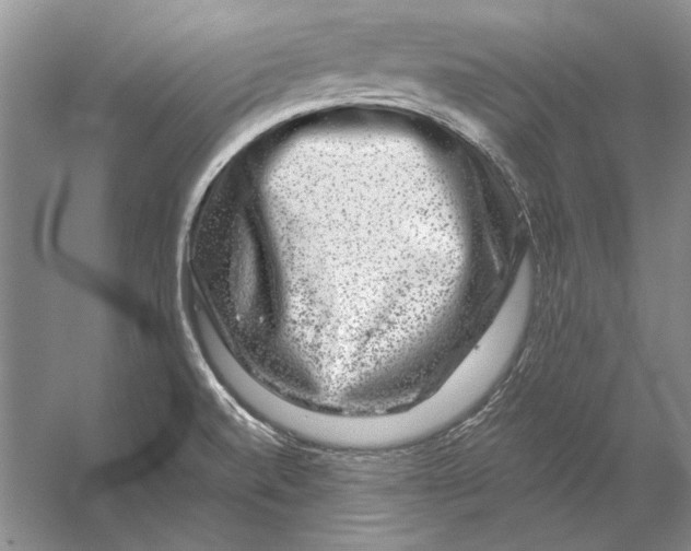 X0000056381520200509232211